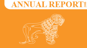 Bank of Georgia Annual Report 2008